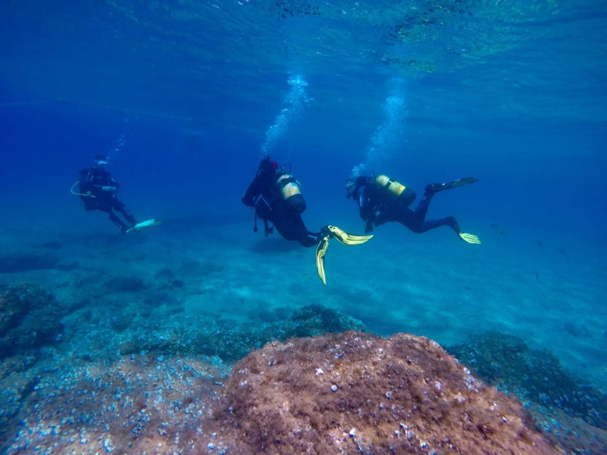 Tossa de Mar: Scuba Diving Experience for Beginners - Key Things That Make This Beginner Scuba Session Worth It