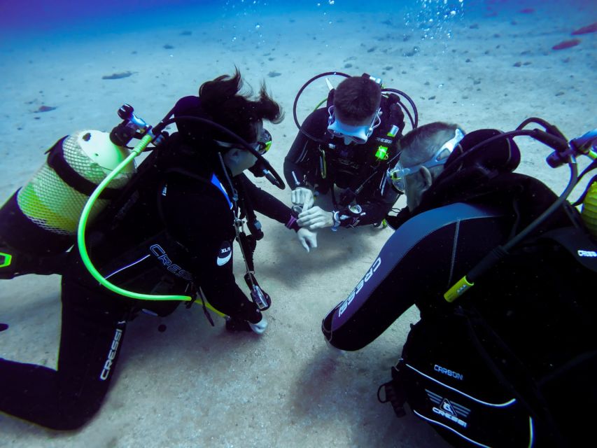 Tossa de Mar: Scuba Diving Experience for Beginners - The beach handoff, gear on, and a first controlled water session to 12 m