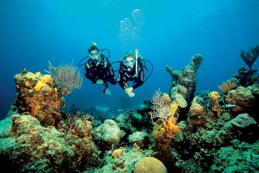 Tossa de Mar: Scuba Diving Experience for Beginners - What happens when you arrive, equipment setup and that all-important medical check