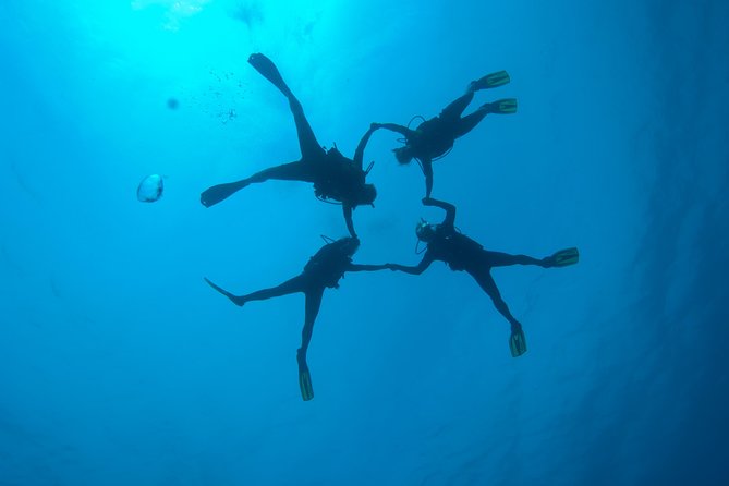 Tossa de Mar Scuba Diving PADI - Logistics That Matter: Timing, Transport, and Weather