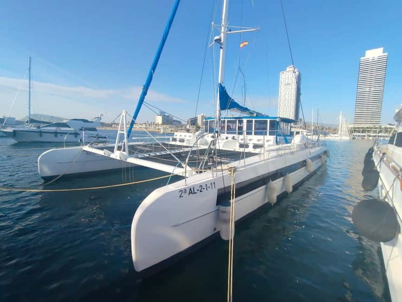 Vermouth on Catamaran: A Gastronomic Experience in Barcelona - Key highlights for your Barcelona vermouth catamaran