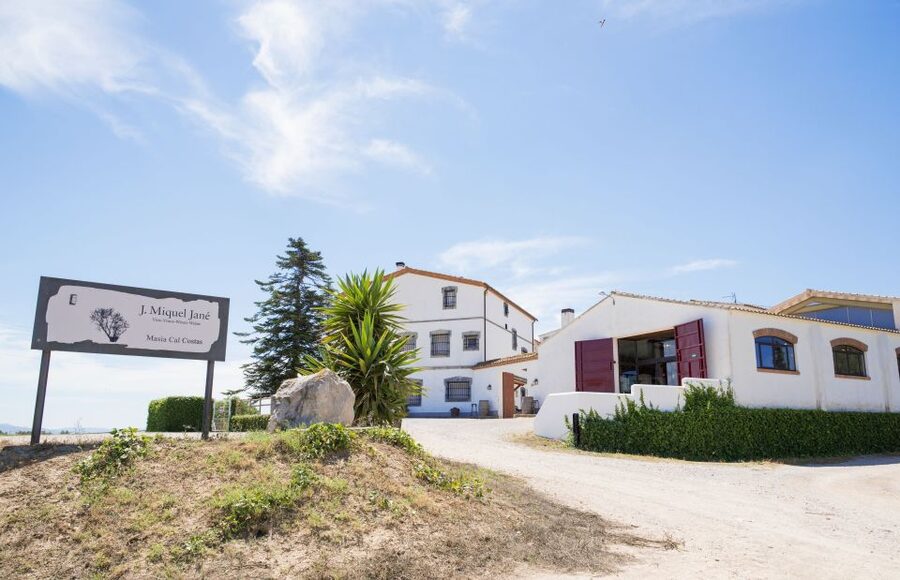 Vilafranca del Penedès: Winery Visit with Tastings - Why a Vilafranca del Penedès Wine Visit Like J. Miquel Jané Feels Different