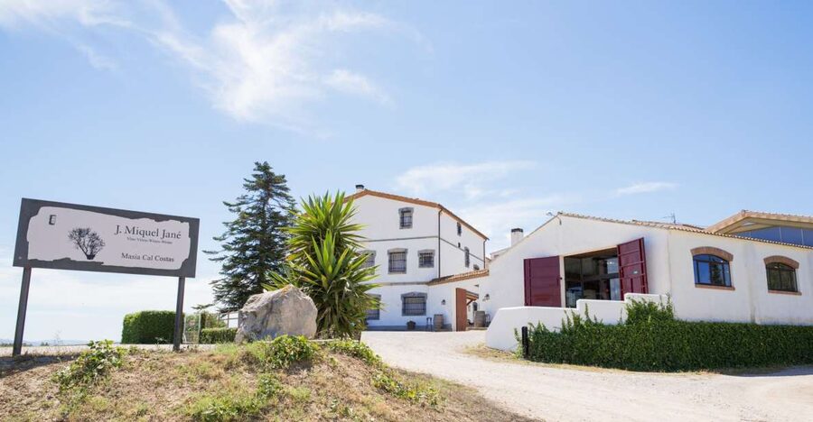 Vilafranca del Penedès: Winery Visit with Tastings - The Vineyard Walk: Seeing How Alt Penedès Changes What You Taste