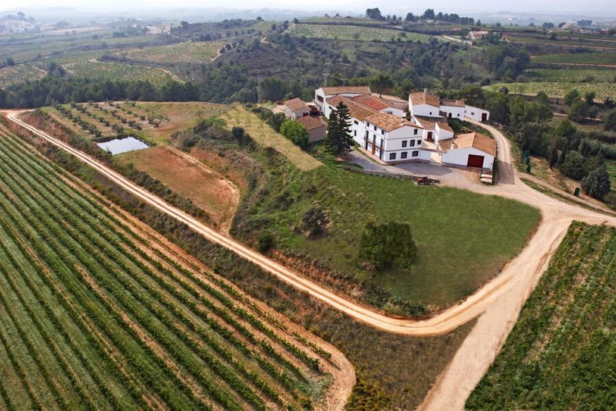 Vilafranca del Penedès: Winery Visit with Tastings - Inside the Winery: Ageing Cellars and the Warehouse World