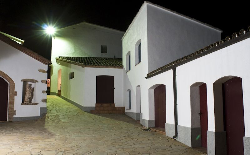 Vilafranca del Penedès: Winery Visit with Tastings - Aperitif With Local Cheeses and Hams, Plus Smart Pairing Thinking