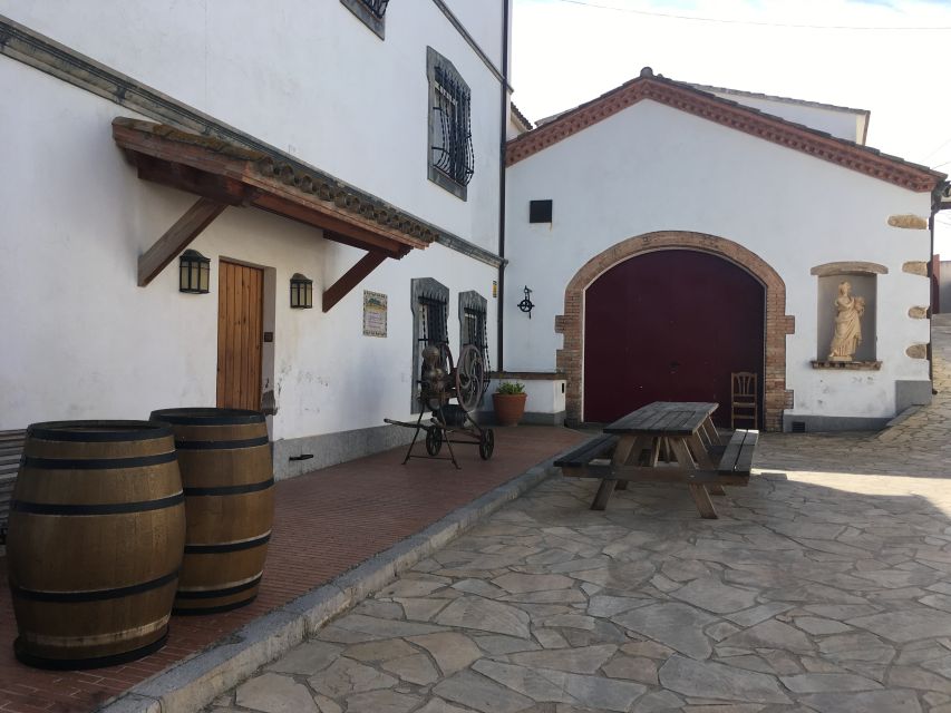Vilafranca del Penedès: Winery Visit with Tastings - Price and Value: What $41 Buys in Real Wine-Country Time