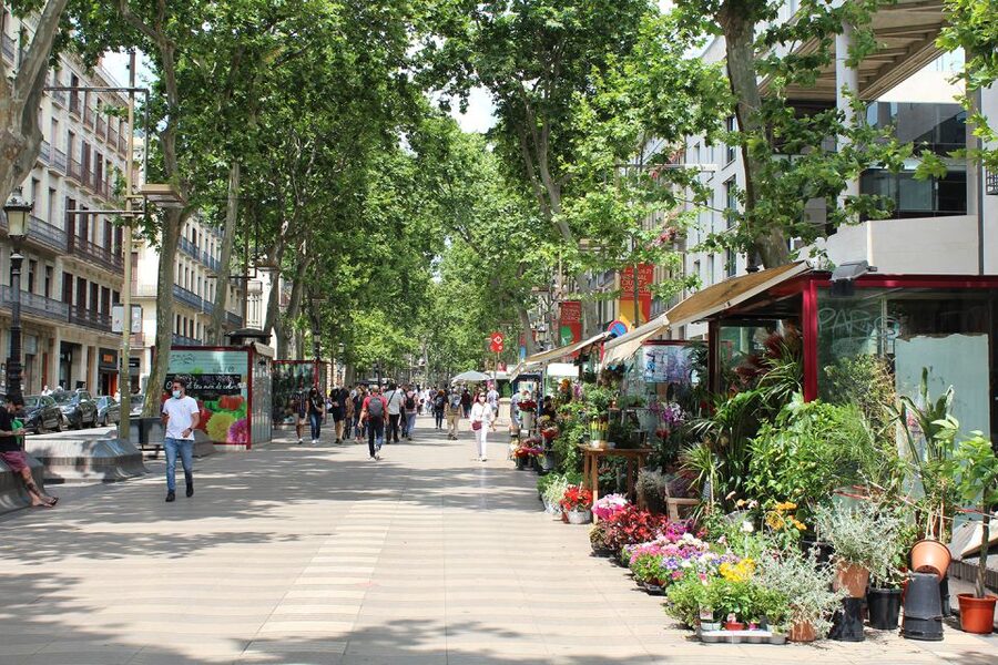 Walking Tour Gothic Quarter and Ramblas+Boat Trip - Plaza Nova and Barcelona Cathedral: The City’s Layers Show Up Fast