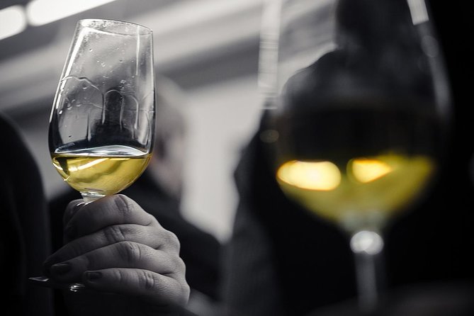 Wine Tasting Experience in Barcelona - Key Points Worth Booking